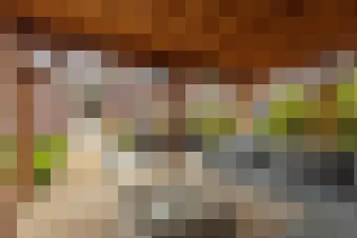 Het Laar 68 Zundert thumbnail 58