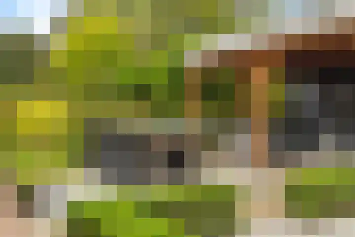 Het Laar 68 Zundert thumbnail 6