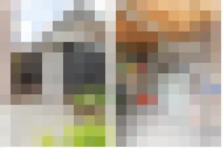 Het Laar 68 Zundert thumbnail 60