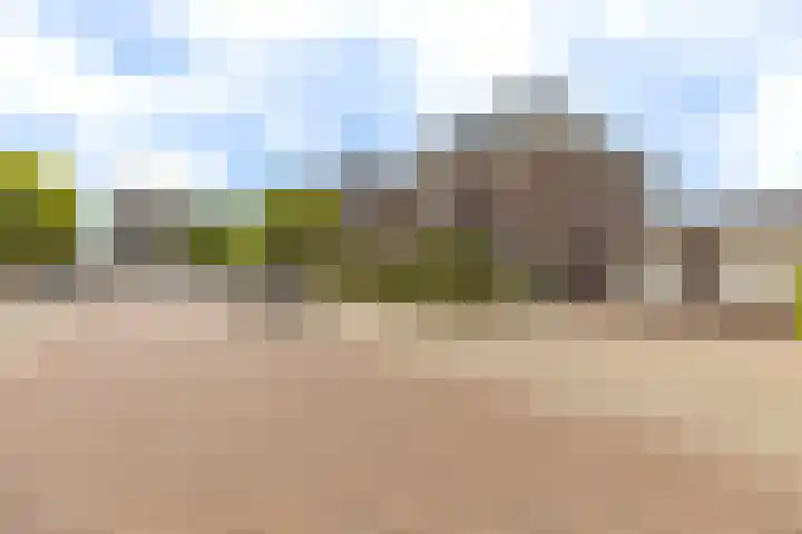 Het Laar 68 Zundert thumbnail 62