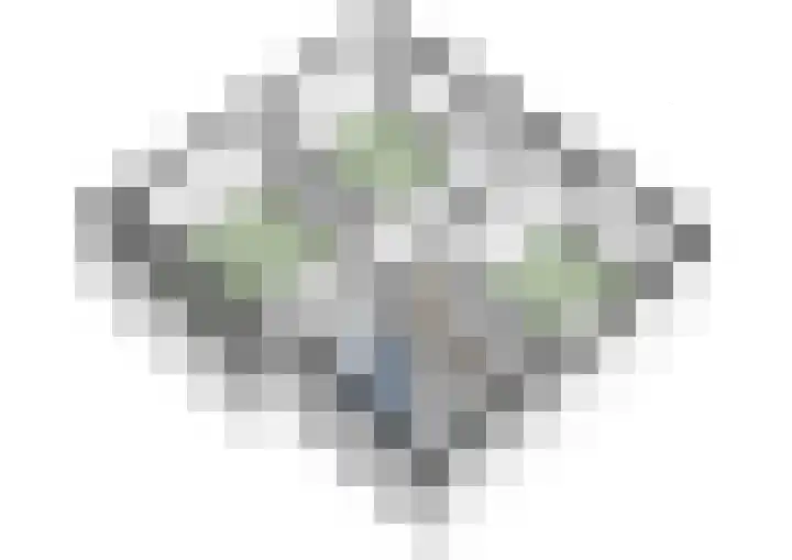 Het Laar 68 Zundert thumbnail 64