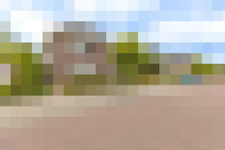 Het Laar 68 Zundert thumbnail 7