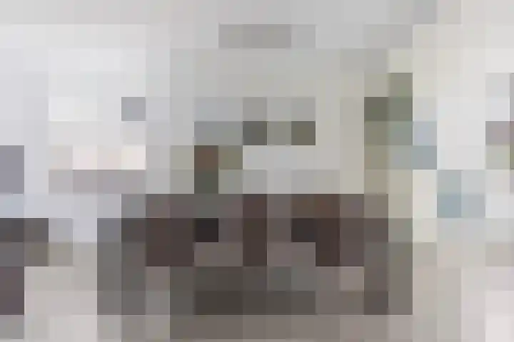Het Lage Licht 63 Maassluis thumbnail 11