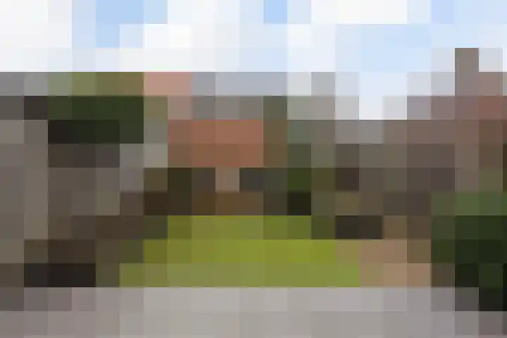Het Lage Licht 63 Maassluis thumbnail 21