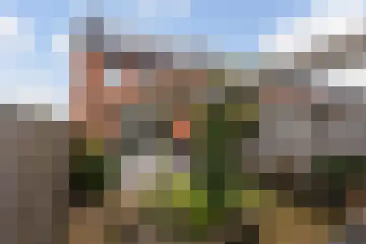 Het Lage Licht 63 Maassluis thumbnail 23