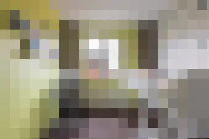 Het Lage Licht 63 Maassluis thumbnail 29