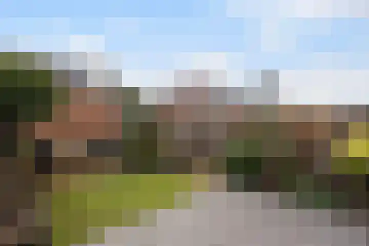 Het Lage Licht 63 Maassluis thumbnail 4