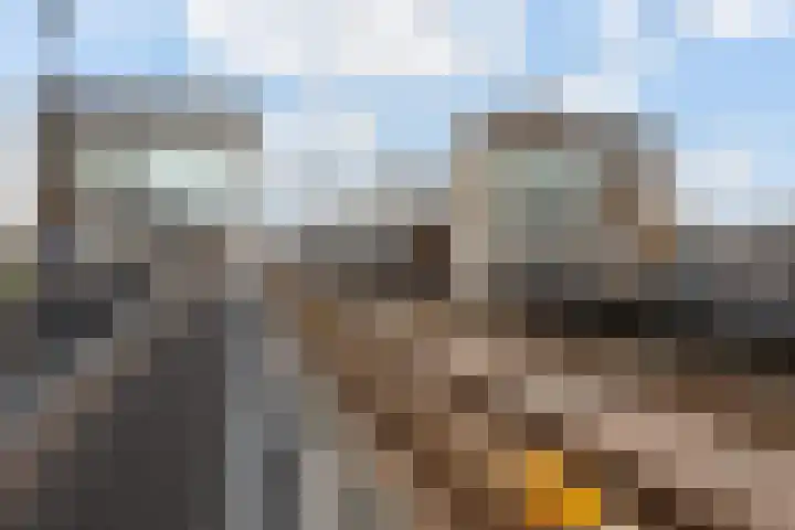 Het Lage Licht 63 Maassluis thumbnail 48