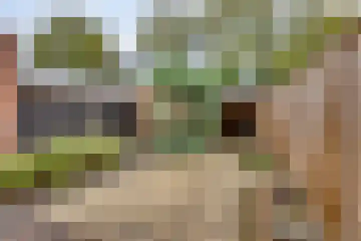 Het Landeweerd 33 Holten thumbnail 25