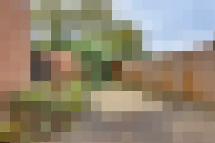 Het Landeweerd 33 Holten thumbnail 26
