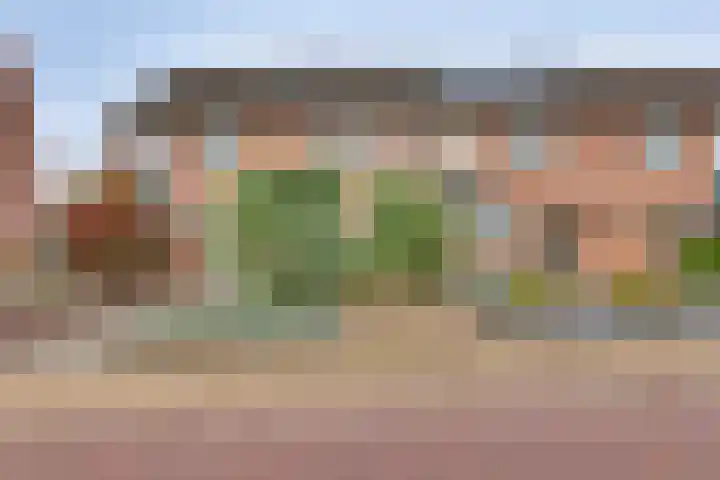 Het Landeweerd 33 Holten thumbnail 32