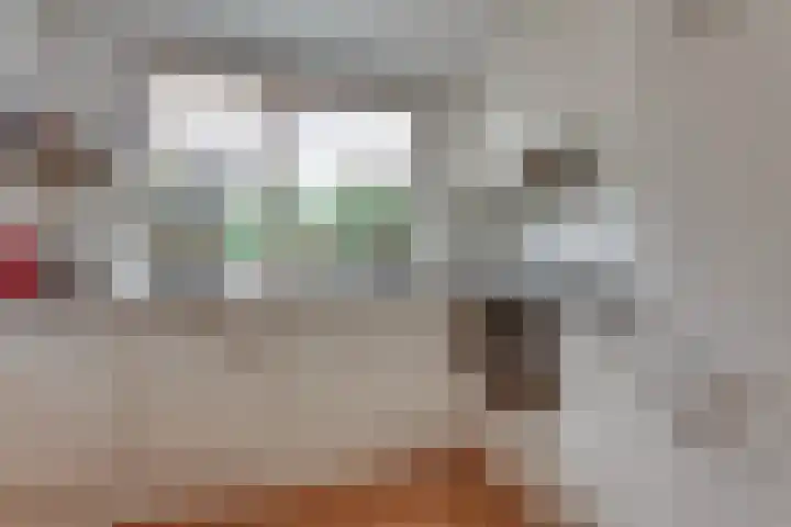 Het Landeweerd 33 Holten thumbnail 8