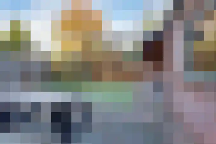 Het Landeweerd 35 Holten thumbnail 24