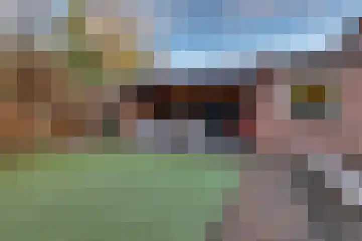 Het Landeweerd 35 Holten thumbnail 26