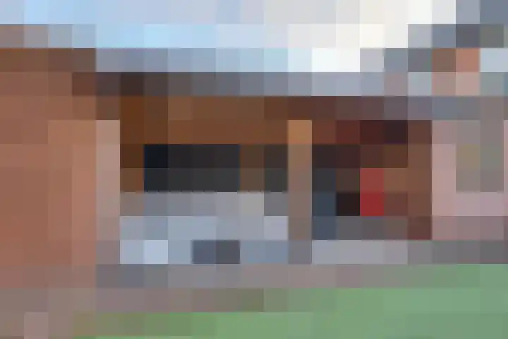 Het Landeweerd 35 Holten thumbnail 27