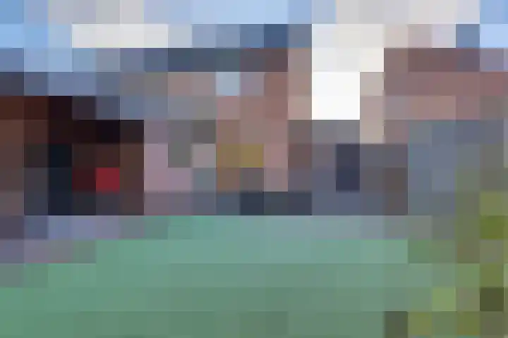 Het Landeweerd 35 Holten thumbnail 28