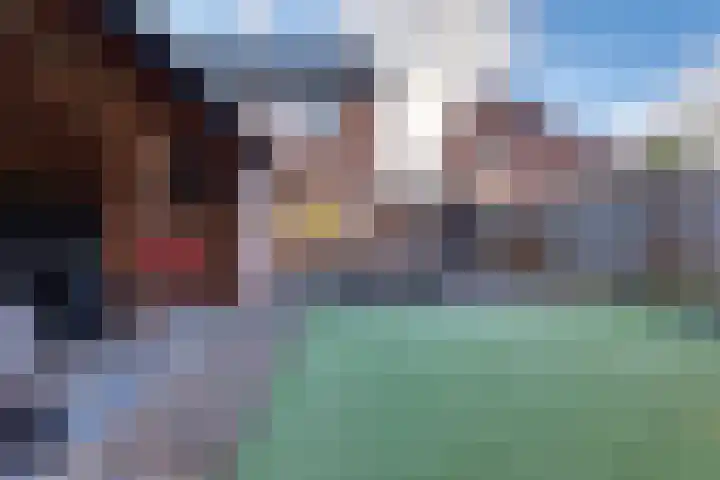 Het Landeweerd 35 Holten thumbnail 29