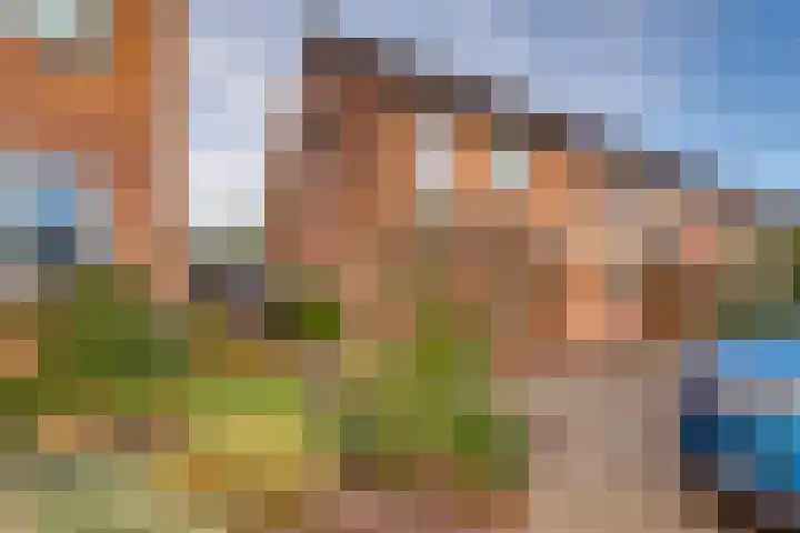 Het Landeweerd 35 Holten thumbnail 34