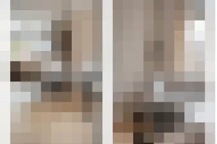 Het Landeweerd 5 Holten thumbnail 12