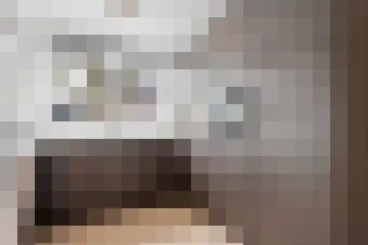 Het Landeweerd 5 Holten thumbnail 13