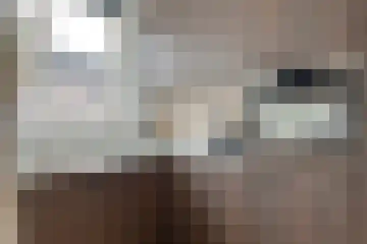 Het Landeweerd 5 Holten thumbnail 16