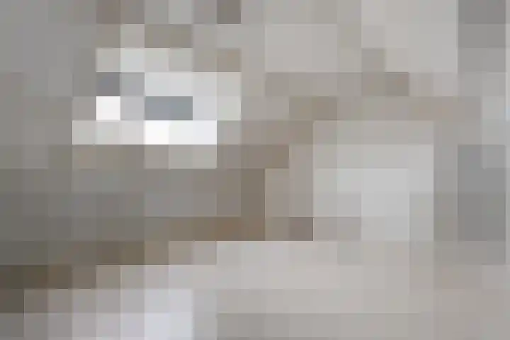 Het Landeweerd 5 Holten thumbnail 31
