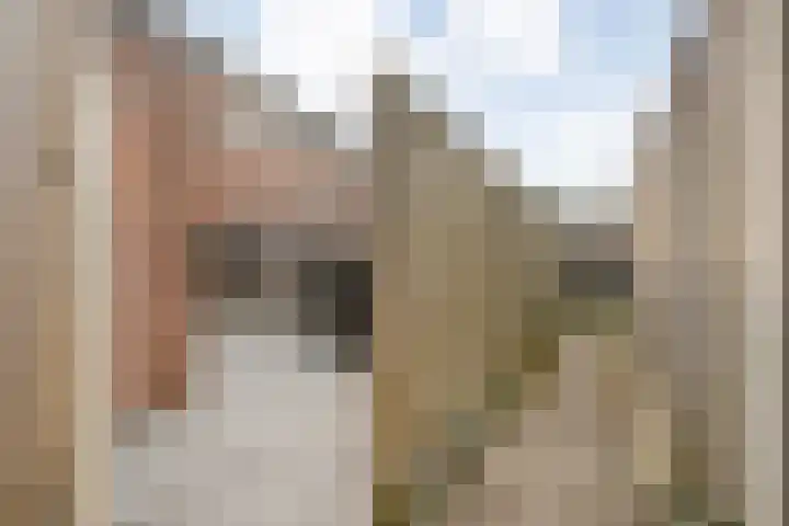 Het Landeweerd 5 Holten thumbnail 37