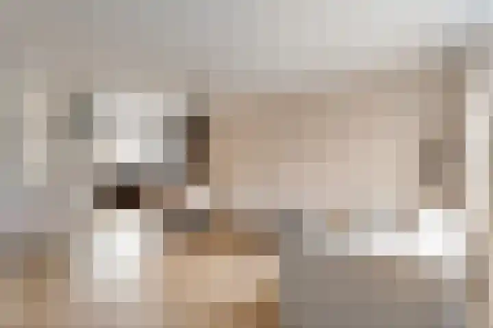 Het Landeweerd 5 Holten thumbnail 4