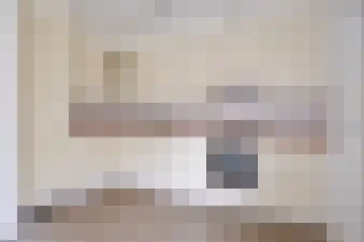 Het Landeweerd 85 Holten thumbnail 13