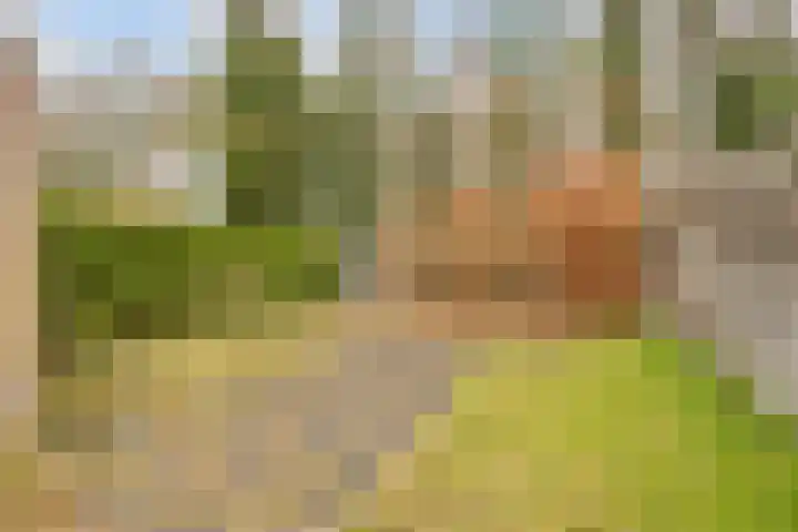Het Landeweerd 85 Holten thumbnail 30
