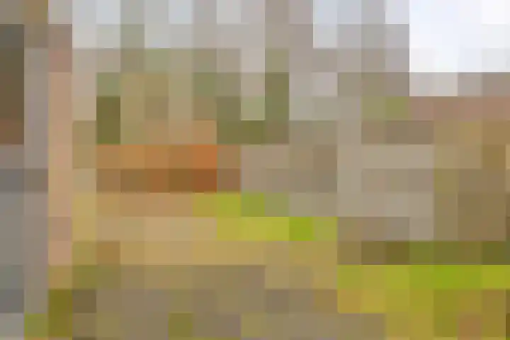 Het Landeweerd 85 Holten thumbnail 31