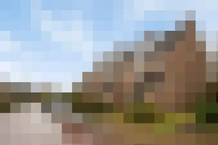 Het Landeweerd 85 Holten thumbnail 34