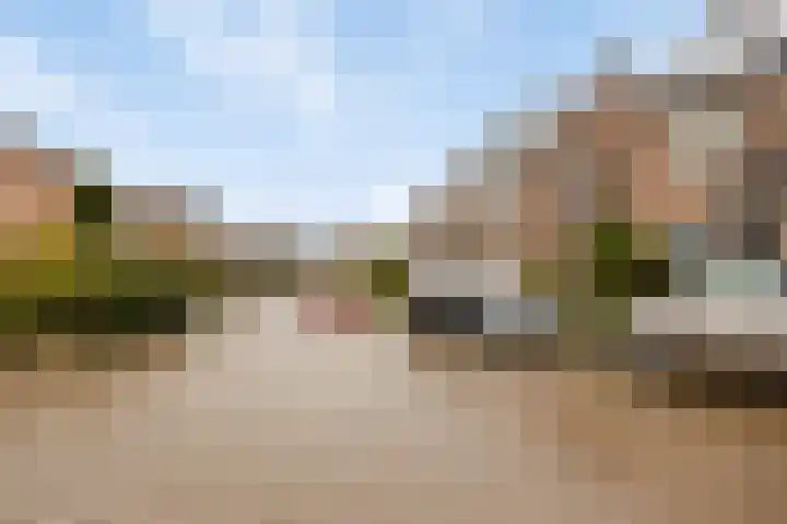Het Landeweerd 85 Holten thumbnail 35