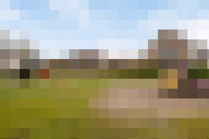 Het Landeweerd 85 Holten thumbnail 36