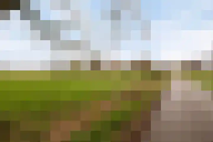 Het Landeweerd 85 Holten thumbnail 37