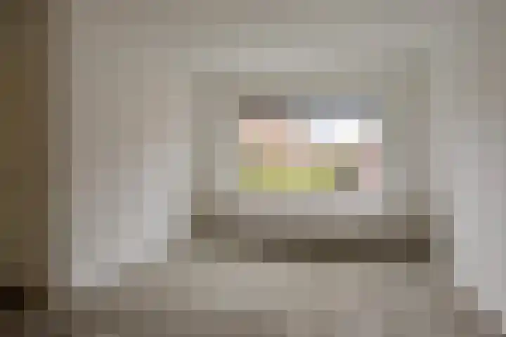 Het Landeweerd 85 Holten thumbnail 4
