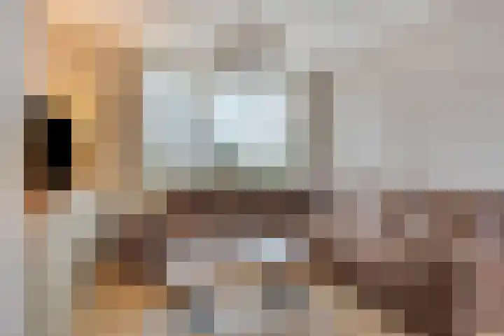 Het Leen 8 Hooge Mierde thumbnail 12