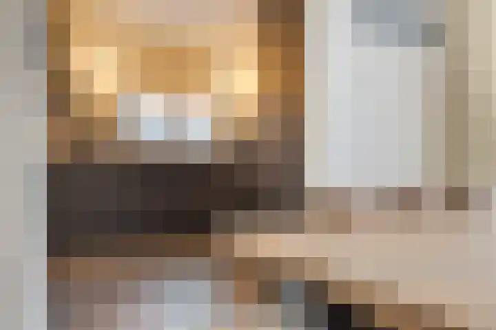 Het Leen 8 Hooge Mierde thumbnail 15