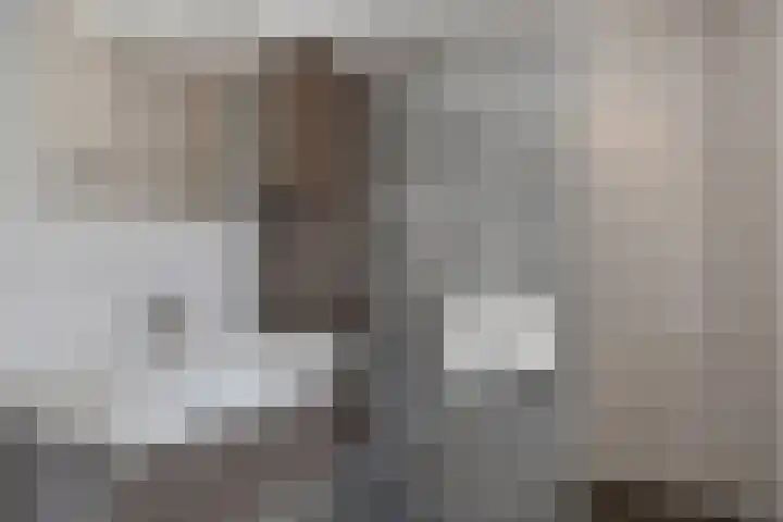 Het Leen 8 Hooge Mierde thumbnail 33