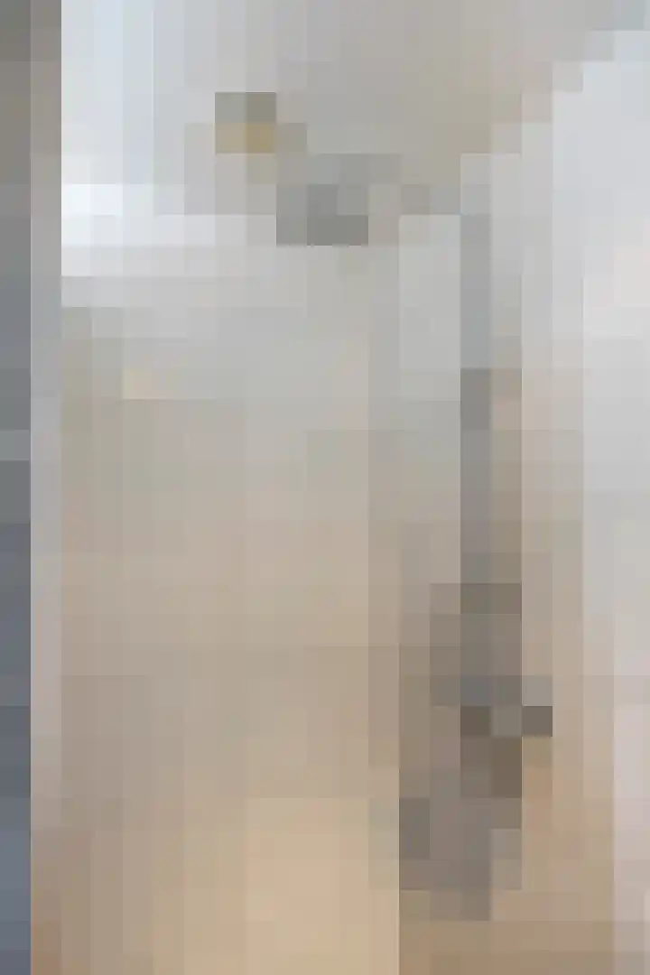 Het Leen 8 Hooge Mierde thumbnail 35