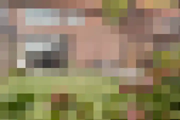 Het Leen 8 Hooge Mierde thumbnail 38