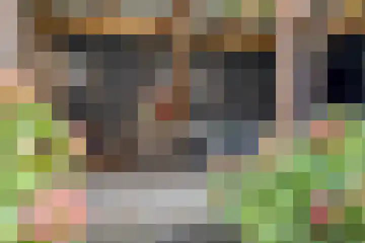 Het Leen 8 Hooge Mierde thumbnail 41