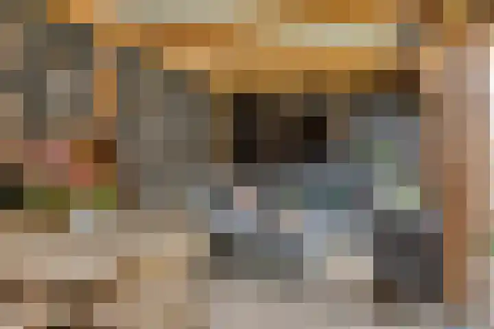 Het Leen 8 Hooge Mierde thumbnail 42