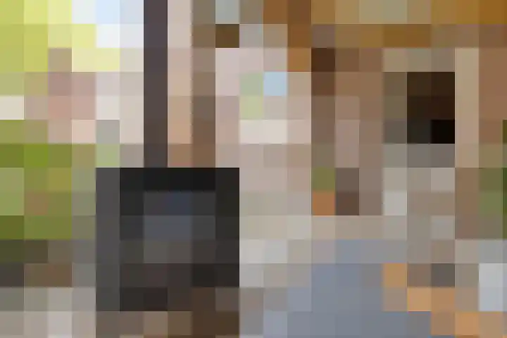 Het Leen 8 Hooge Mierde thumbnail 43