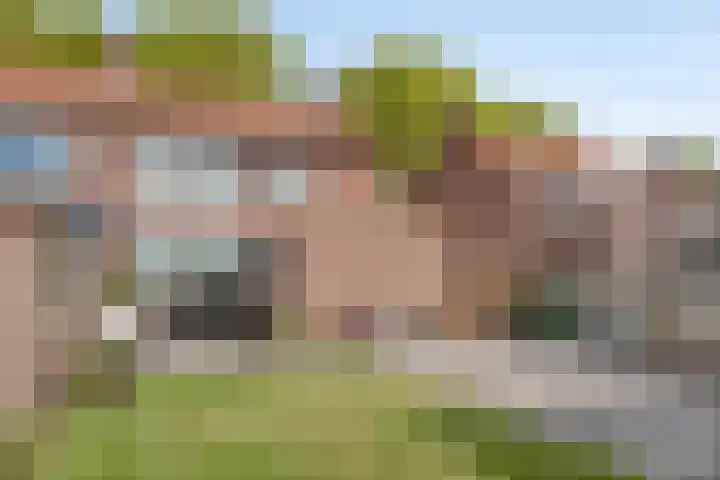 Het Leen 8 Hooge Mierde thumbnail 44