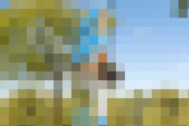 Het Leen 8 Hooge Mierde thumbnail 49