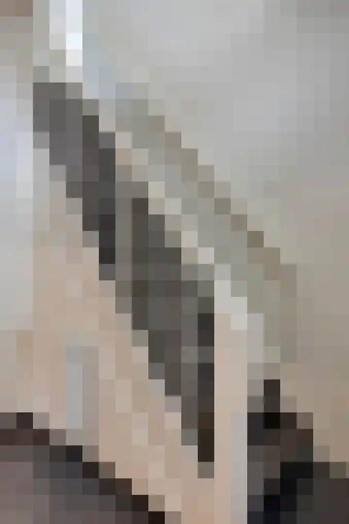 Het Leen 8 Hooge Mierde thumbnail 7