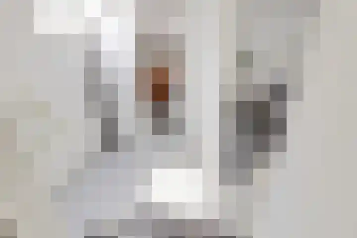 Het Loeg 35 Muntendam thumbnail 25