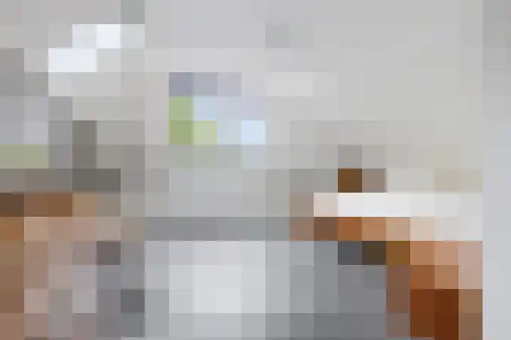 Het Loeg 35 Muntendam thumbnail 27