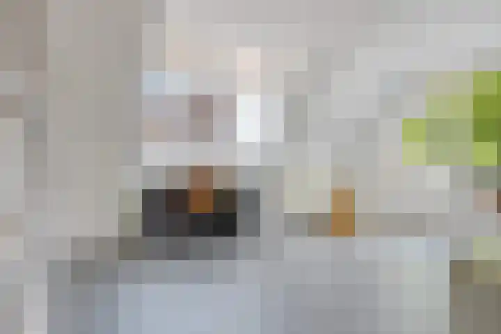 Het Loeg 35 Muntendam thumbnail 31